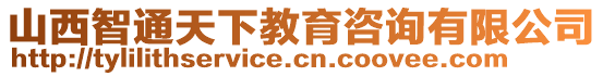 山西智通天下教育咨詢有限公司