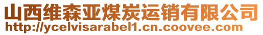 山西维森亚煤炭运销有限公司