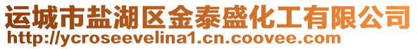 運(yùn)城市鹽湖區(qū)金泰盛化工有限公司