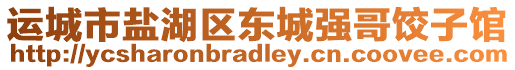 運(yùn)城市鹽湖區(qū)東城強(qiáng)哥餃子館