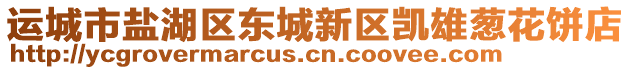 運(yùn)城市鹽湖區(qū)東城新區(qū)凱雄蔥花餅店