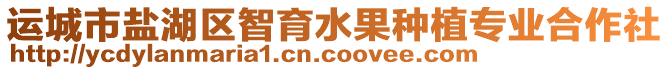 運城市鹽湖區智育水果種植專業合作社
