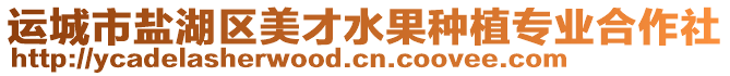 運城市鹽湖區美才水果種植專業合作社