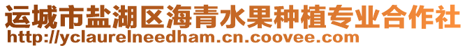 運(yùn)城市鹽湖區(qū)海青水果種植專業(yè)合作社