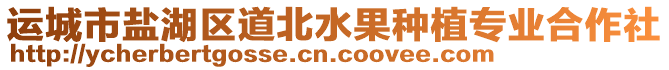 運城市鹽湖區道北水果種植專業合作社