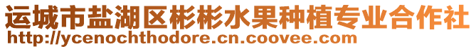 運城市鹽湖區(qū)彬彬水果種植專業(yè)合作社