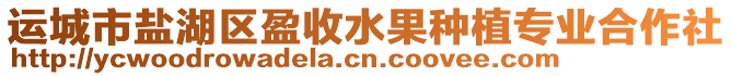 運城市鹽湖區盈收水果種植專業合作社
