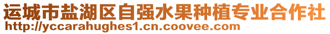 運城市鹽湖區自強水果種植專業合作社