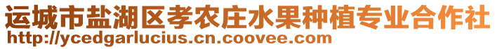 運(yùn)城市鹽湖區(qū)孝農(nóng)莊水果種植專業(yè)合作社