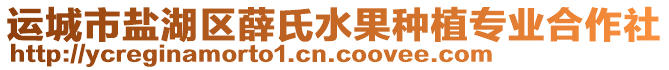 運城市鹽湖區薛氏水果種植專業合作社