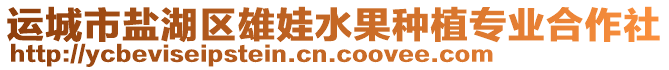 運(yùn)城市鹽湖區(qū)雄娃水果種植專業(yè)合作社