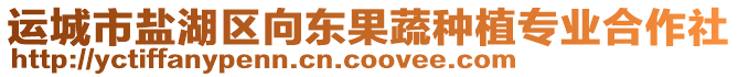 運城市鹽湖區向東果蔬種植專業合作社