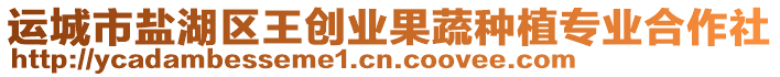 運(yùn)城市鹽湖區(qū)王創(chuàng)業(yè)果蔬種植專業(yè)合作社