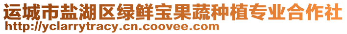 運城市鹽湖區綠鮮寶果蔬種植專業合作社