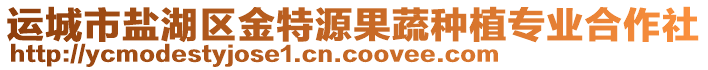 運(yùn)城市鹽湖區(qū)金特源果蔬種植專(zhuān)業(yè)合作社