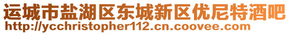 運(yùn)城市鹽湖區(qū)東城新區(qū)優(yōu)尼特酒吧