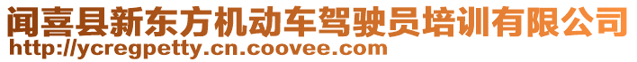 聞喜縣新東方機(jī)動(dòng)車駕駛員培訓(xùn)有限公司