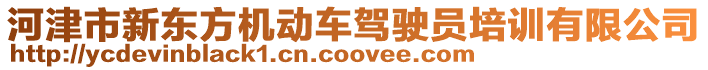 河津市新東方機(jī)動(dòng)車(chē)駕駛員培訓(xùn)有限公司