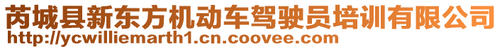 芮城縣新東方機(jī)動(dòng)車駕駛員培訓(xùn)有限公司