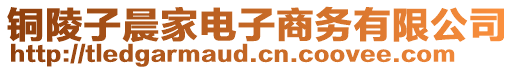 銅陵子晨家電子商務有限公司