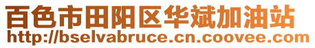 百色市田阳区华斌加油站