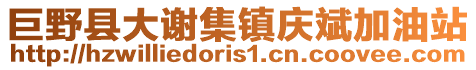 巨野县大谢集镇庆斌加油站