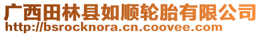 广西田林县如顺轮胎有限公司