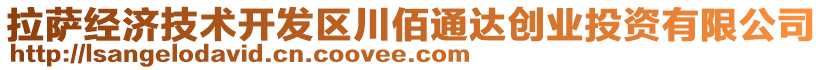 拉薩經(jīng)濟技術(shù)開發(fā)區(qū)川佰通達(dá)創(chuàng)業(yè)投資有限公司