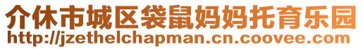 介休市城區(qū)袋鼠媽媽托育樂園