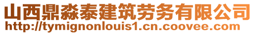 山西鼎淼泰建筑勞務有限公司