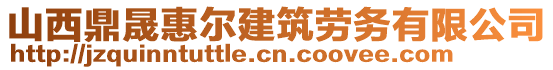 山西鼎晟惠爾建筑勞務有限公司