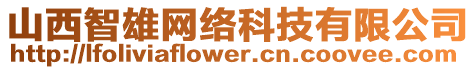 山西智雄網(wǎng)絡(luò)科技有限公司