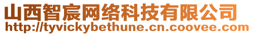 山西智宸網(wǎng)絡(luò)科技有限公司