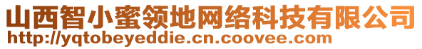 山西智小蜜領(lǐng)地網(wǎng)絡(luò)科技有限公司