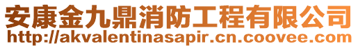 安康金九鼎消防工程有限公司