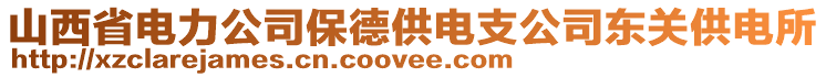 山西省電力公司保德供電支公司東關(guān)供電所