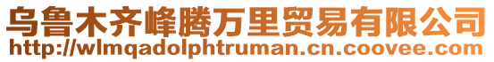 烏魯木齊峰騰萬里貿易有限公司