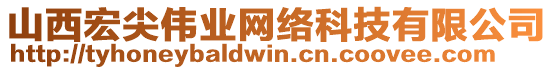 山西宏尖偉業(yè)網(wǎng)絡(luò)科技有限公司