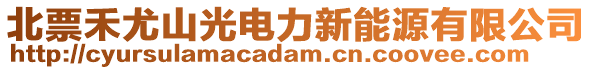 北票禾尤山光电力新能源有限公司