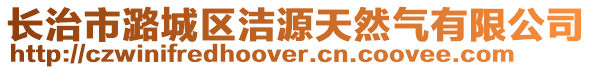 长治市潞城区洁源天然气有限公司