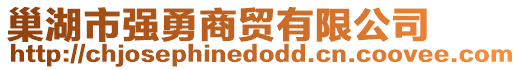 巢湖市強(qiáng)勇商貿(mào)有限公司