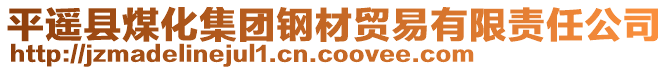 平遥县煤化集团钢材贸易有限责任公司
