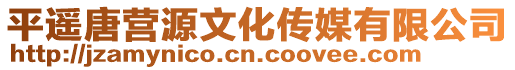 平遥唐营源文化传媒有限公司