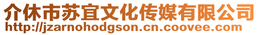 介休市蘇宜文化傳媒有限公司