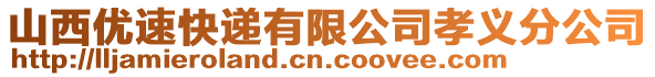 山西優(yōu)速快遞有限公司孝義分公司
