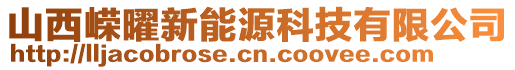 山西嵘曜新能源科技有限公司