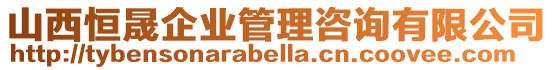 山西恒晟企業(yè)管理咨詢有限公司