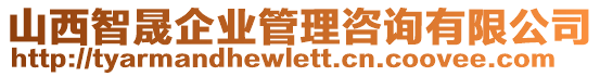 山西智晟企業(yè)管理咨詢有限公司