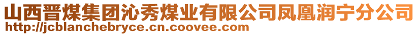 山西晉煤集團(tuán)沁秀煤業(yè)有限公司鳳凰潤(rùn)寧分公司