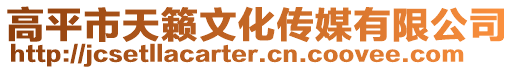 高平市天籟文化傳媒有限公司